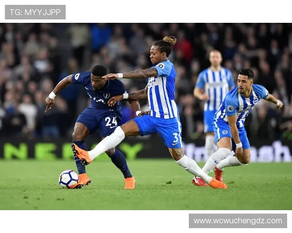 英超前瞻:热刺或大幅轮换无心恋战 布莱顿战意十足争取欧战资格